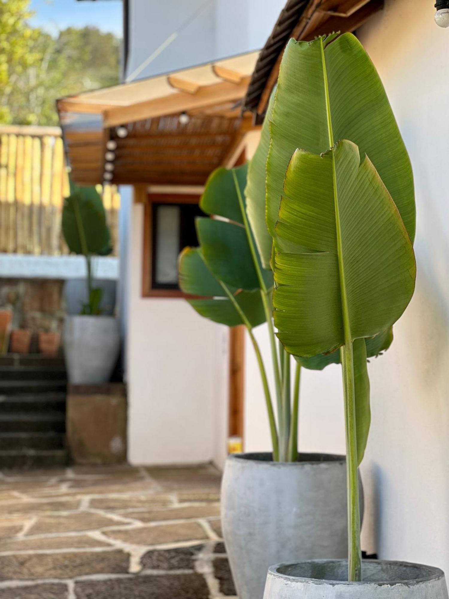 Hotel Campestre Palmas Del Zamorano San Gil Luaran gambar